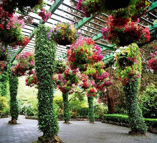 wooden pergola-blinds-green-planting