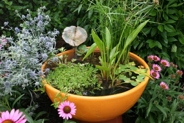 Ceramic pot water garden balcony design ideas quick guide