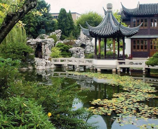 Chinese Garden pond bridge pagoda