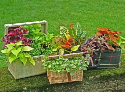 DIY-flower-pots-garden-decoration-ideas-basket-flower-pots