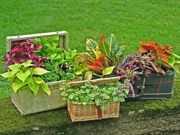 DIY flower pots garden decoration ideas baskets