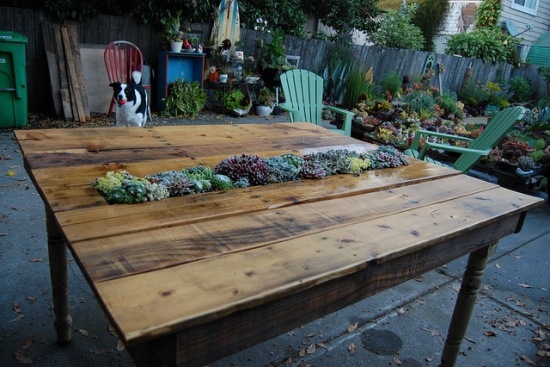 DIY table with built in flower bed