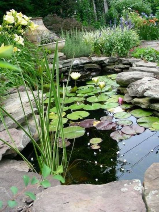 design water lilies natural stones