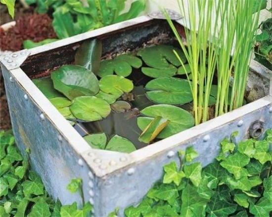 DIY garden pond rectangular metal container