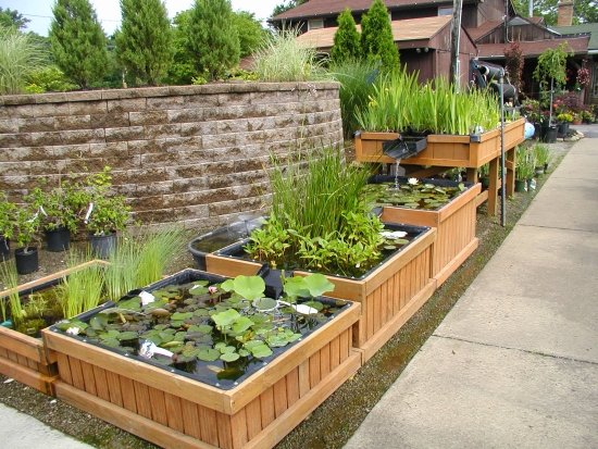 DIY square containers water garden