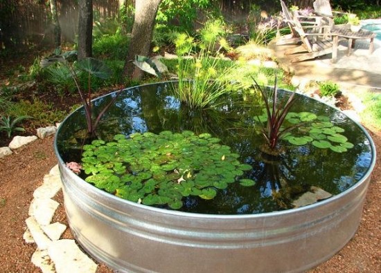 DIY bucket water garden metal containers
