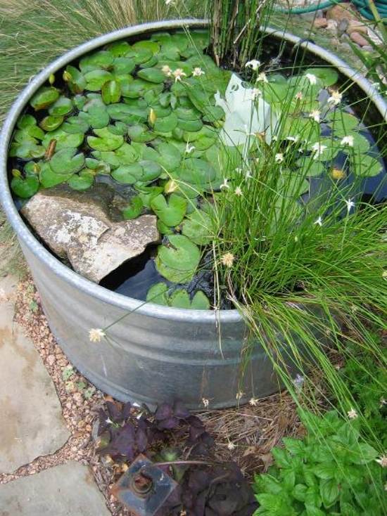 DIY bucket water garden metal bucket