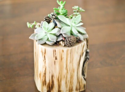 Decorating-ideas-flower-pot-wood-trunk-house-plants