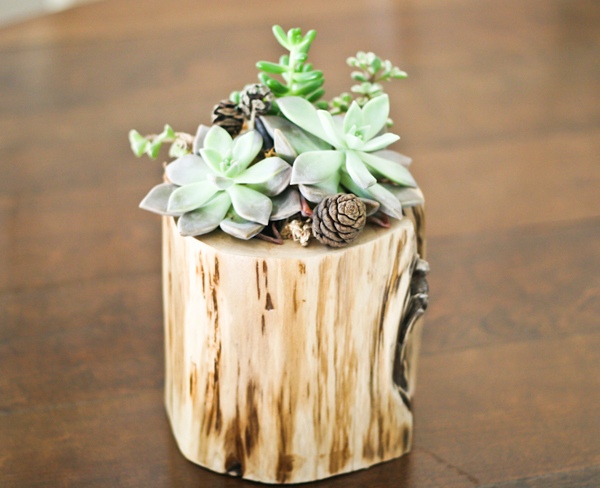 Decorating ideas flower pot wood trunk house plants