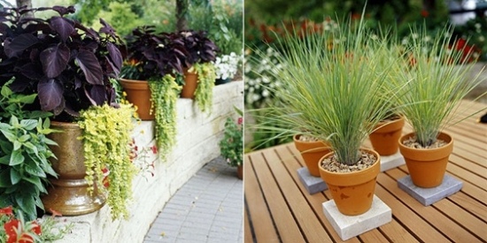 Flower Planters patio deck design