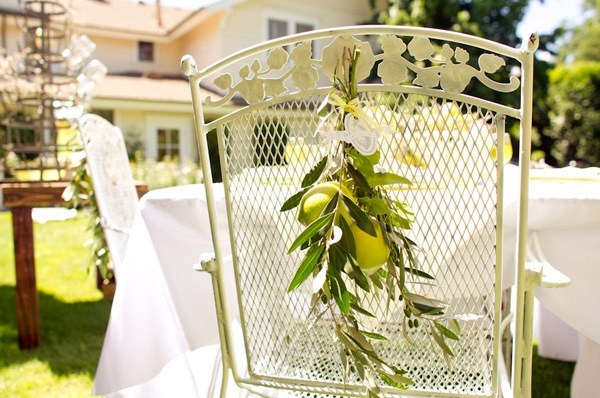 Fruits Chair wedding table Lemons