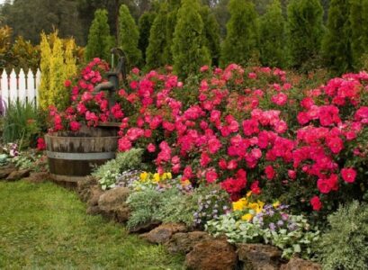Garden-design-ideas-lawn-stone-edge