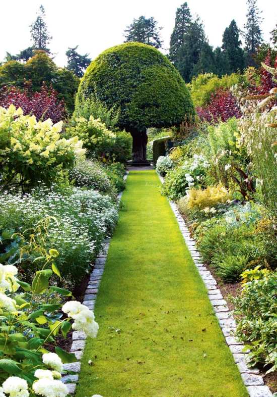 Garden path lawn design