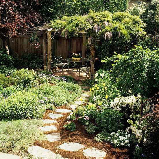 garden-privacy-wooden-pergola creeper plants wisteria