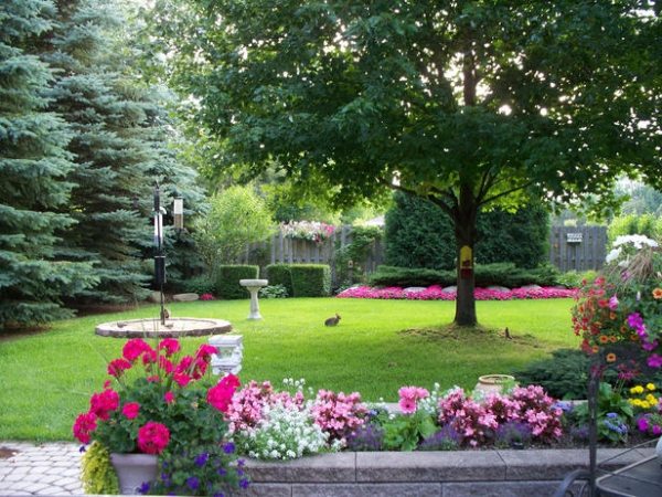 landscape trees grass flower pots