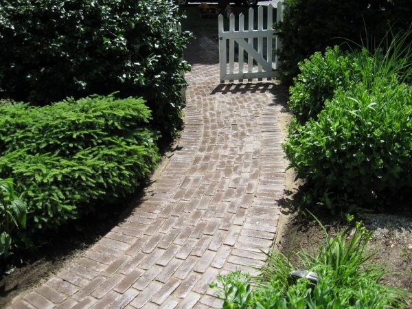 Landscaping design ideas path