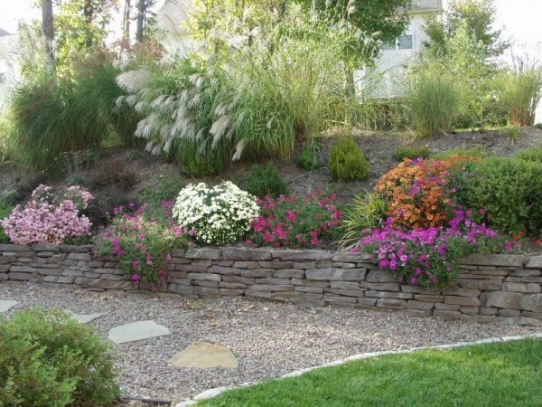 Landscaping natural stone in gravel path