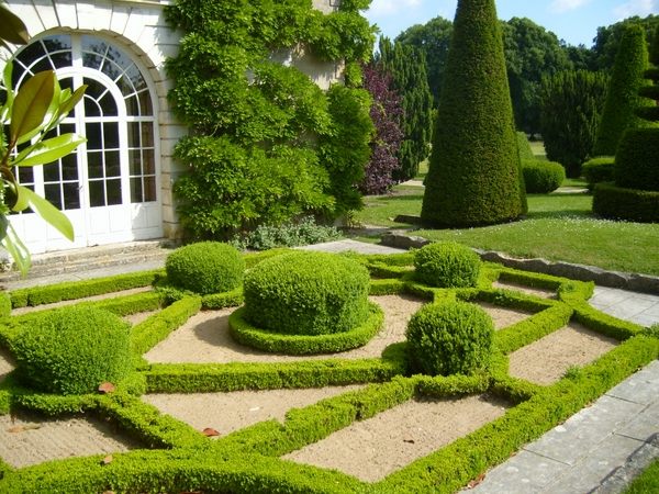 Luxury French Garden Trimmed hedge