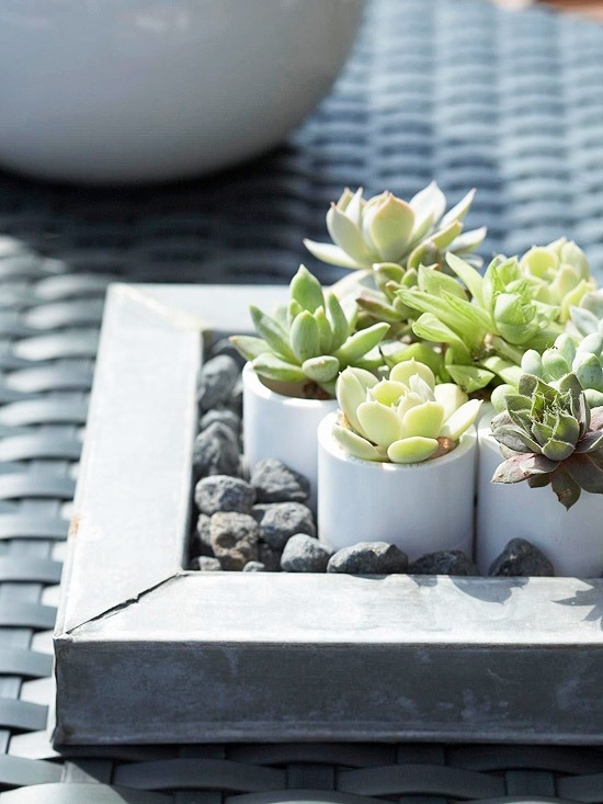 Mini garden table decorating ideas succulents cacti