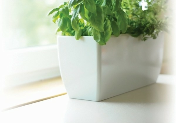 Modern design plastic self watering planter