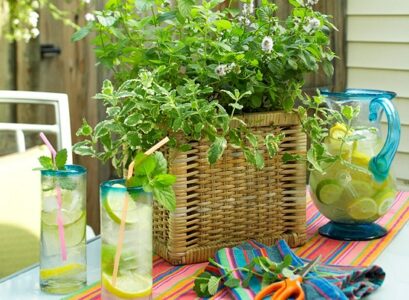 Peppermint-Box-Mojitos