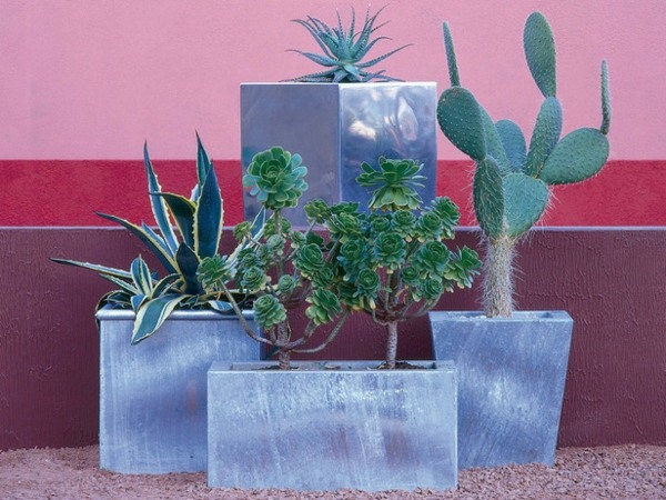 Planters cacti pink wall decoration idea garden