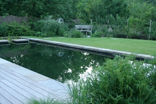 Swimming pond English garden natural cleaning plants