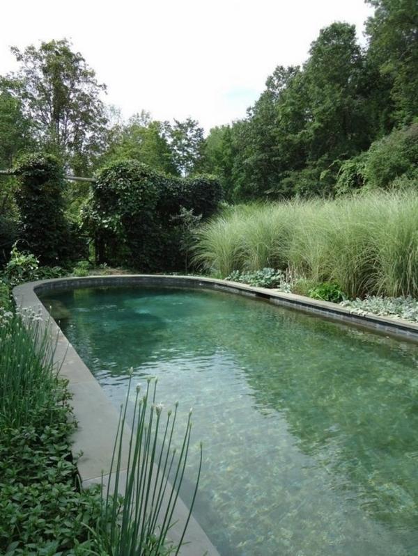Swimming pond eco friendly