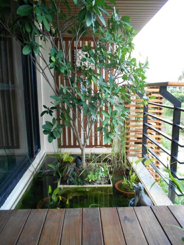balcony pond design tree balcony space saving ideas