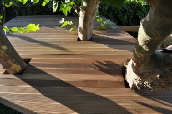 bangkirai wood deck trees
