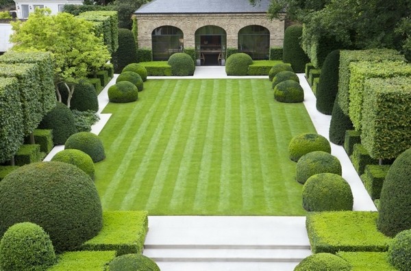 beautiful English garden green lawn hedge plants
