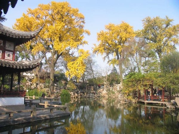 beautiful chinese pagodas autumn trees