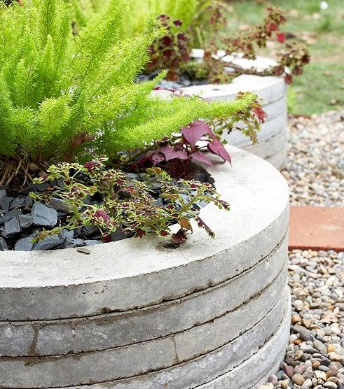cool landscaping ideas evergreen plants concrete pots
