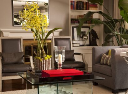 indoor-plants-are-good-for-the-home