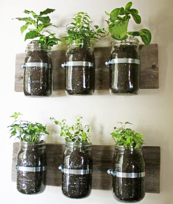 jams-jars-ideas-for-DIY-flower-pots