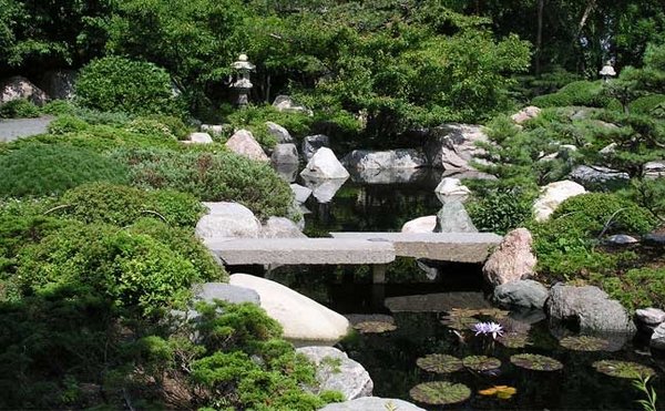 japanese garden stone bridge rocks water plants