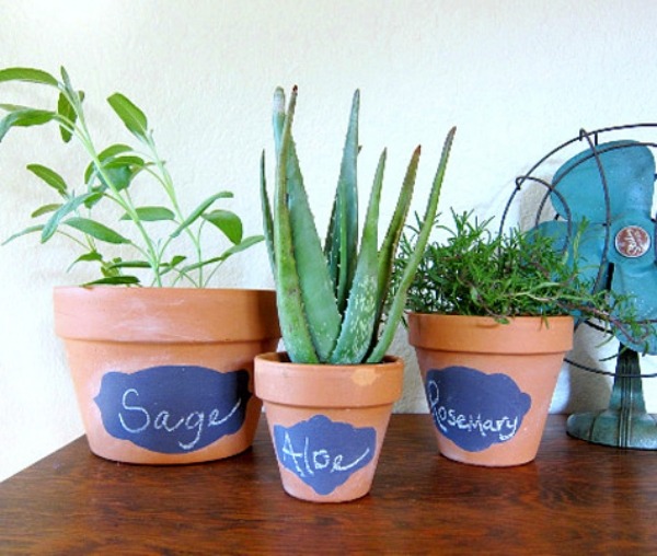 herb garden ideas DIY plant containers