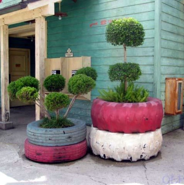mature trees plant containers do it yourself ideas