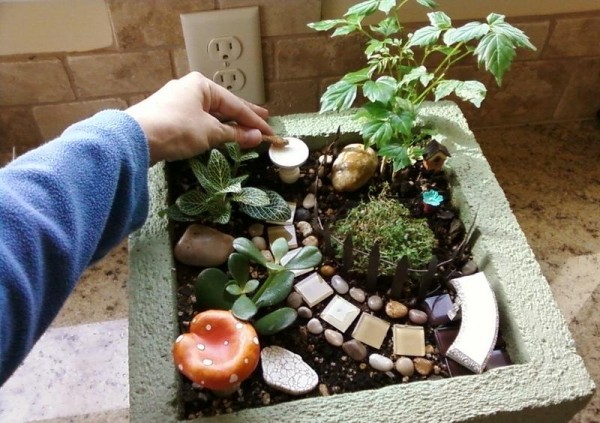 mini garden design stone plant container