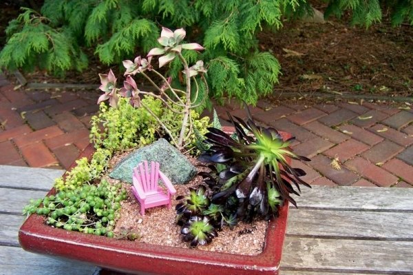 mini garden small pink chair plant