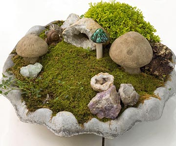 miniature garden landscape moss stones dwarf mushrooms