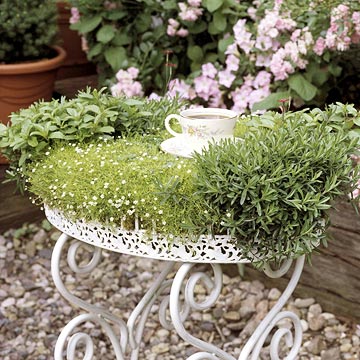 miniature gardening wrought iron planted table