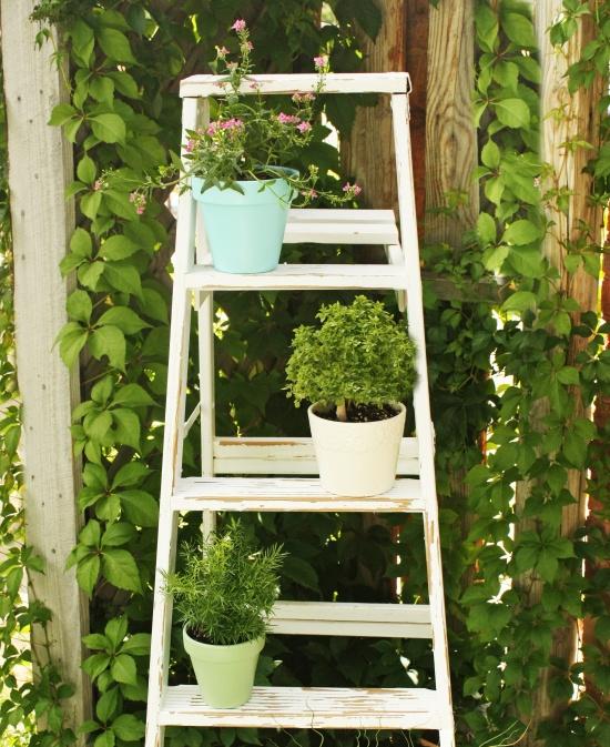 old-wooden-ladder-flowers-ladder-garden-ideas