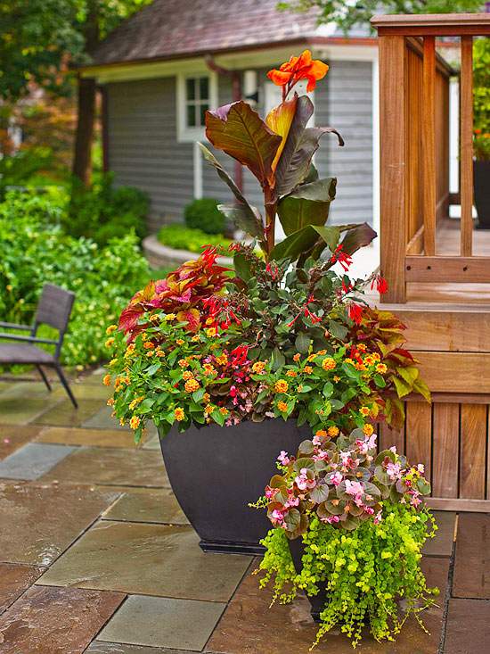 patio design plant container herbs begonias