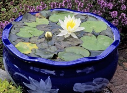patio-decorating-ideas-mini-garden-pond-design-ideas