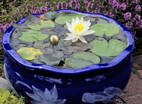 patio-decorating-ideas-mini-garden-pond-design-ideas