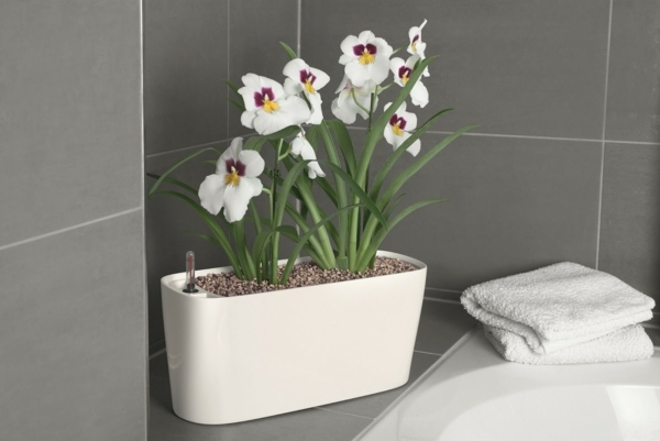 plastic bathroom self-watering planter