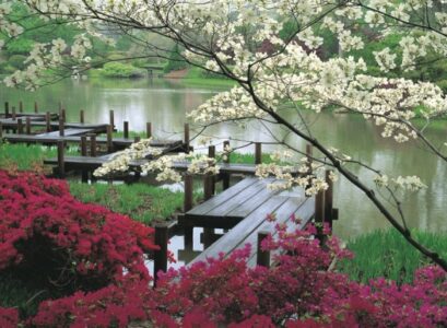 spectacular-landscape-design-ideas