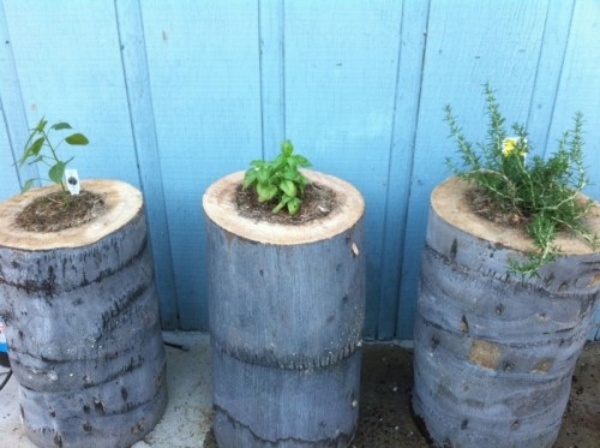 tree-trunk-flower-pots-DIY-ideas