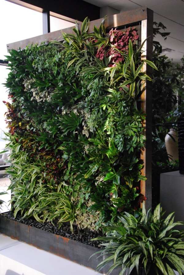 Vertical Gardens And Green Walls The Trend In Urban Landscapes 1392